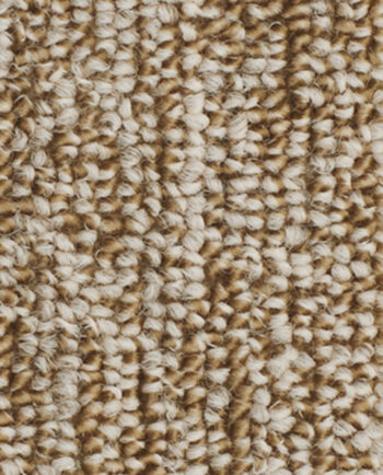 Bonome Revestimentos - Ribeirão Preto/SP - Carpetes Têxtil - São Carlos - Itapuã