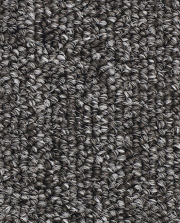 Bonome Revestimentos - Ribeirão Preto/SP - Carpetes Têxtil - São Carlos - Lumiere